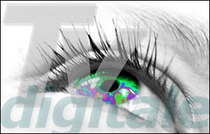 TDT...enterate